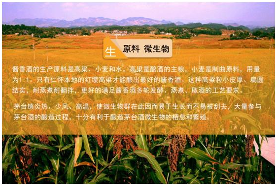 酱香型白酒,白酒代理